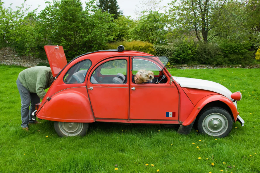 Autocollant France - Lot de 2 - Image 3